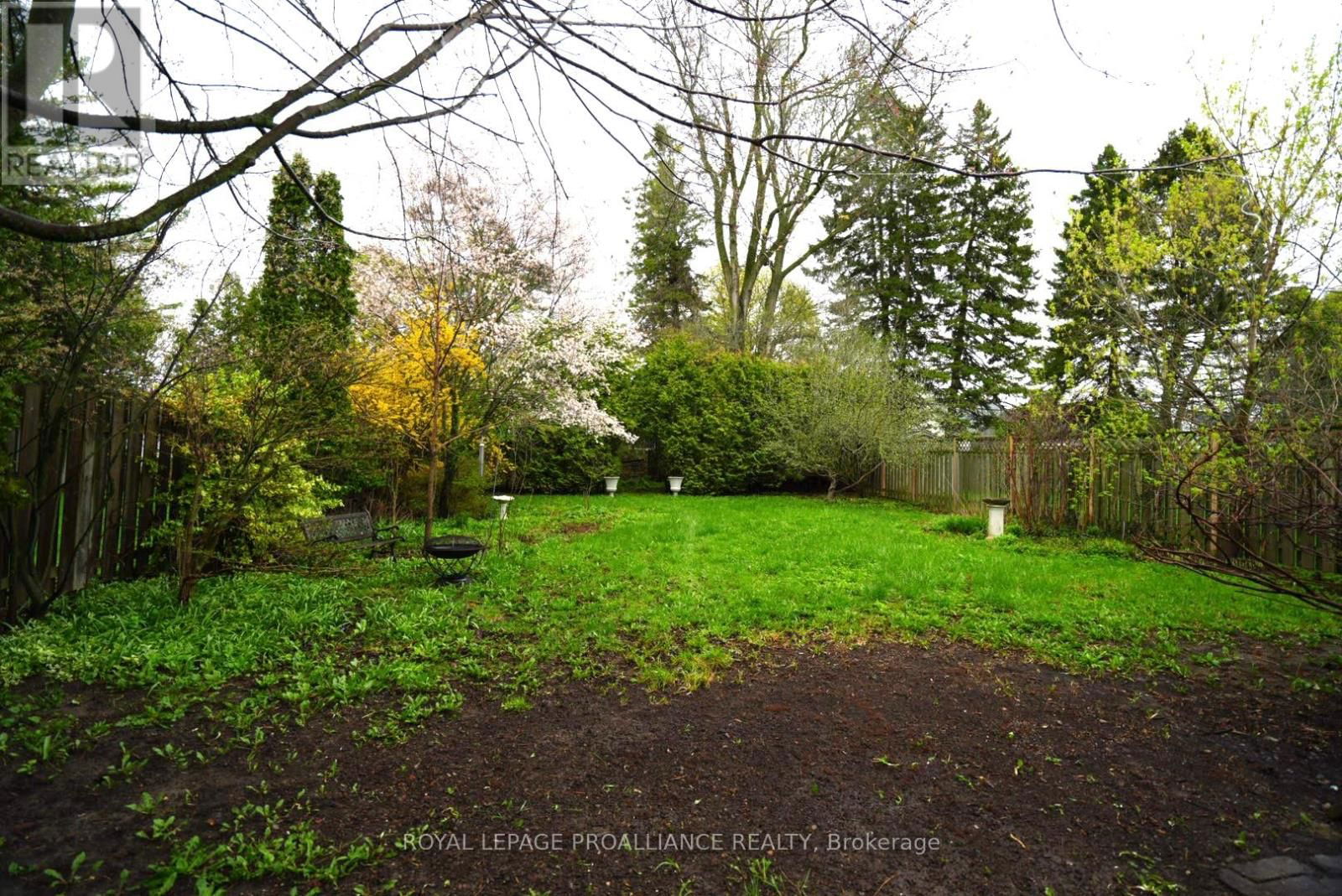 384 D'ARCY STREET Image 22