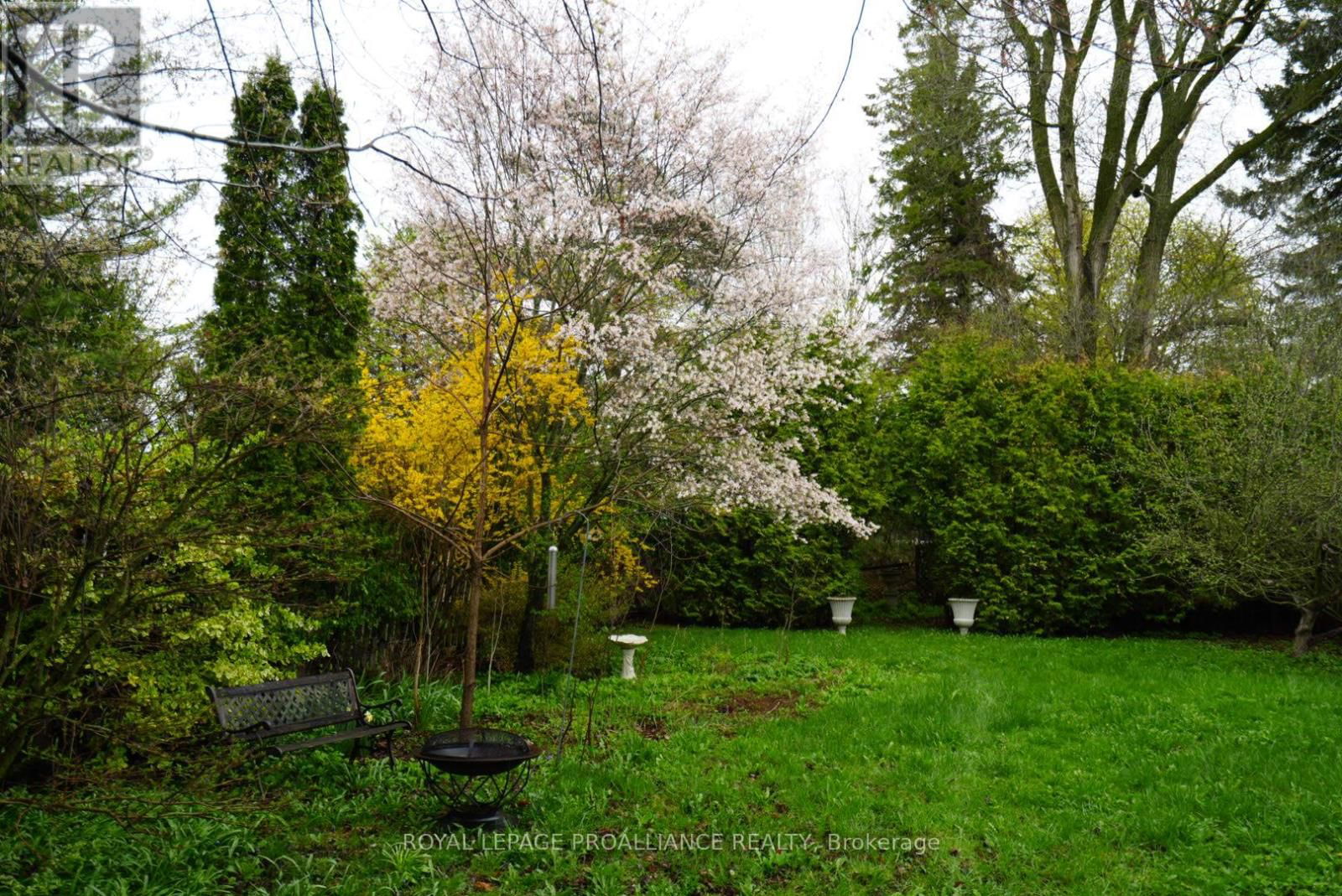 384 D'ARCY STREET Image 23
