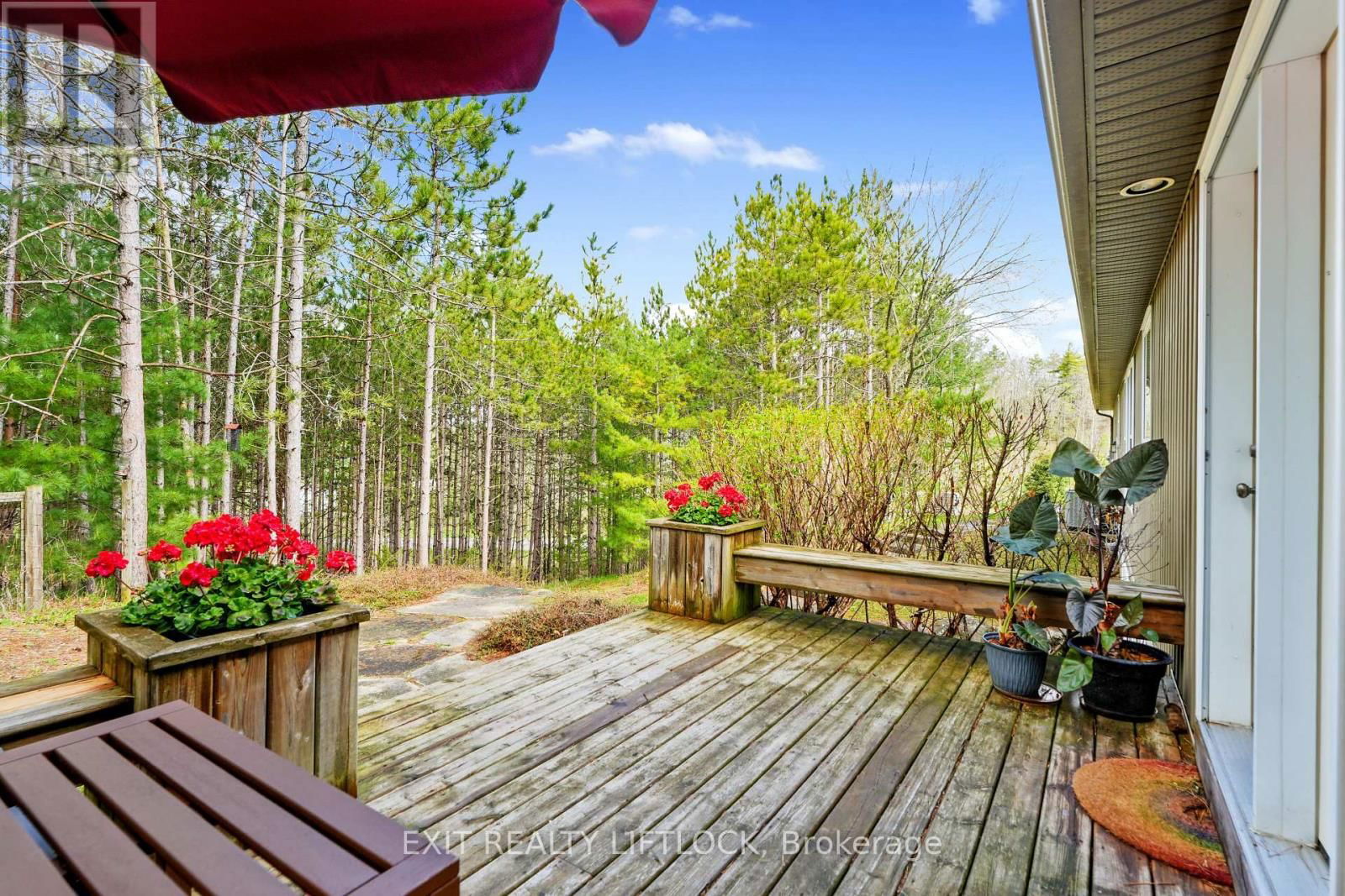 72 CAMPBELL ROAD Image 19