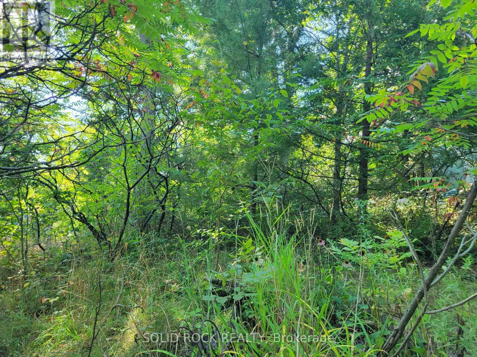 50 CANAL ROAD Image 45