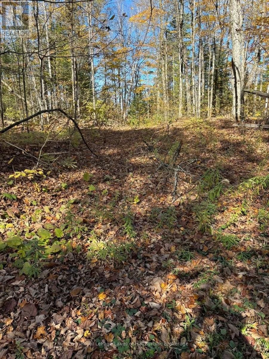 8 CANNONBALL LANE Image 17