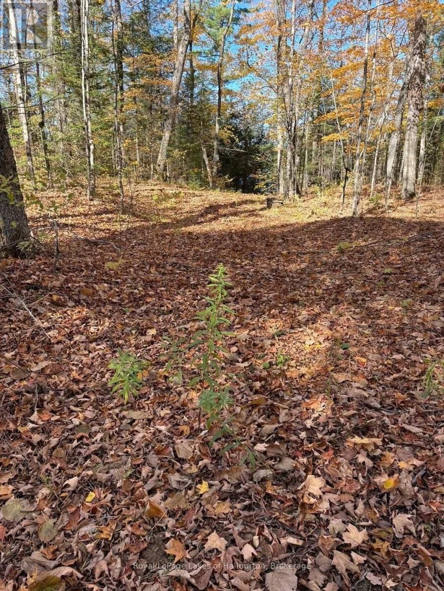 8 CANNONBALL LANE Image 18