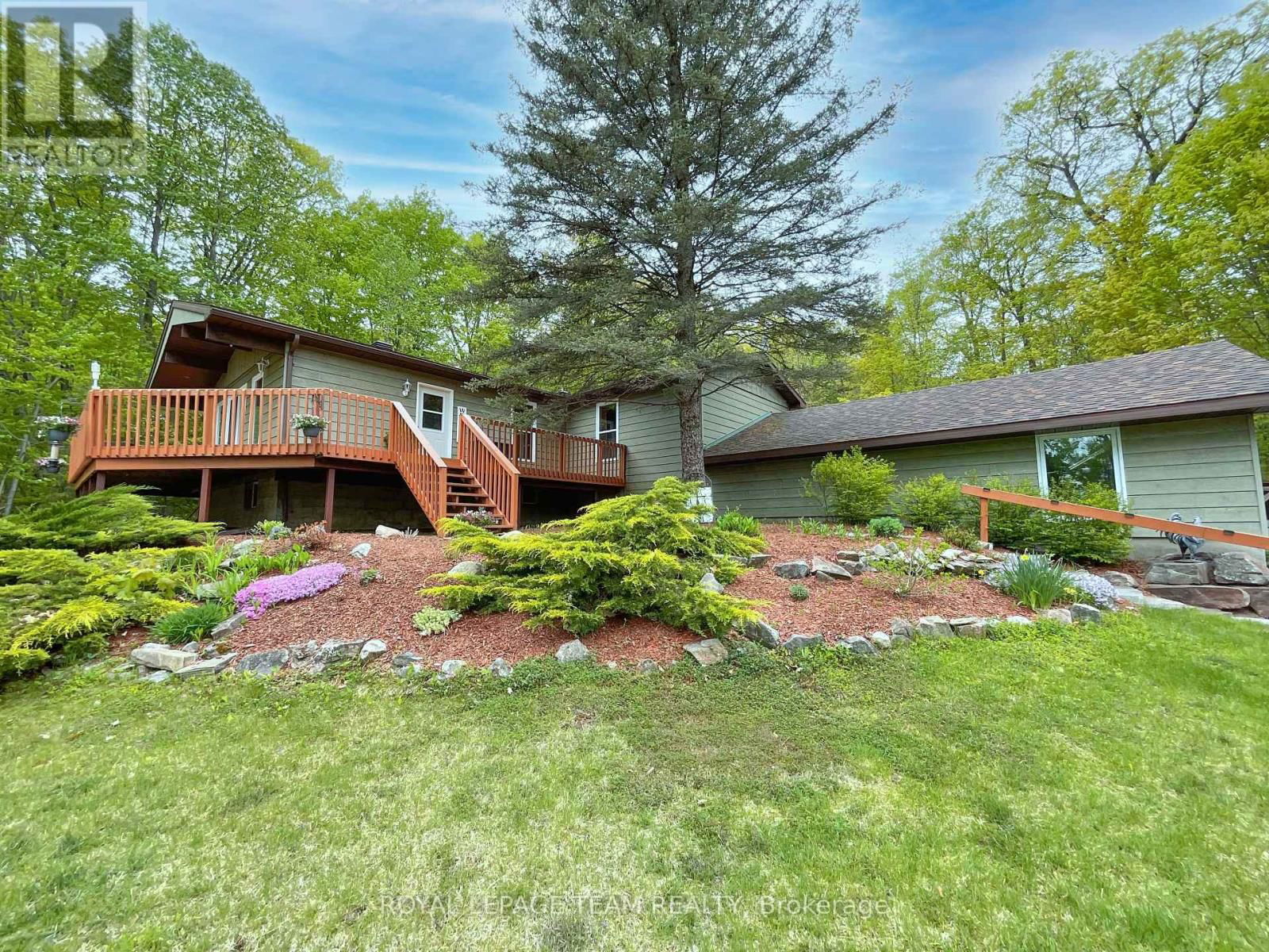 371 KENNEDY ROAD Image 1