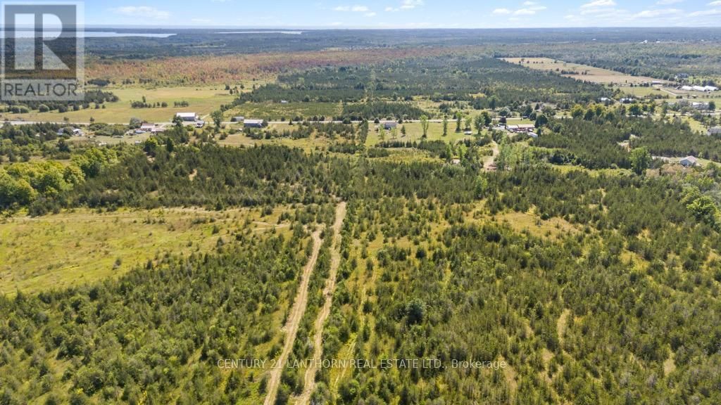 1677 COUNTY 8 ROAD Image 37
