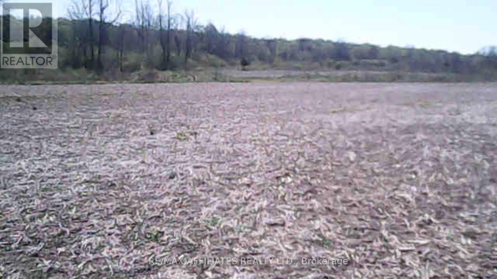 297 HIGHWAY 42 HIGHWAY Image 4