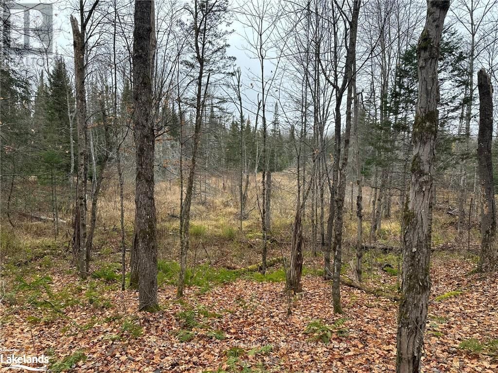 LOT 3 HILL AND GULLY ROAD Image 6