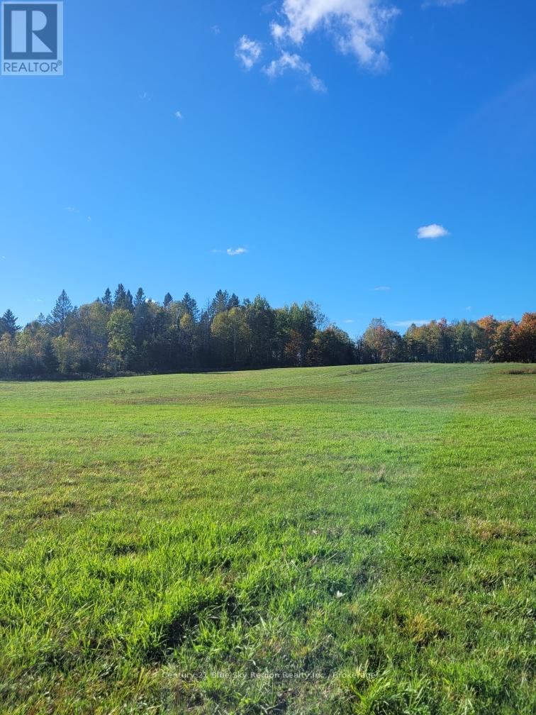 Tertiary Property View