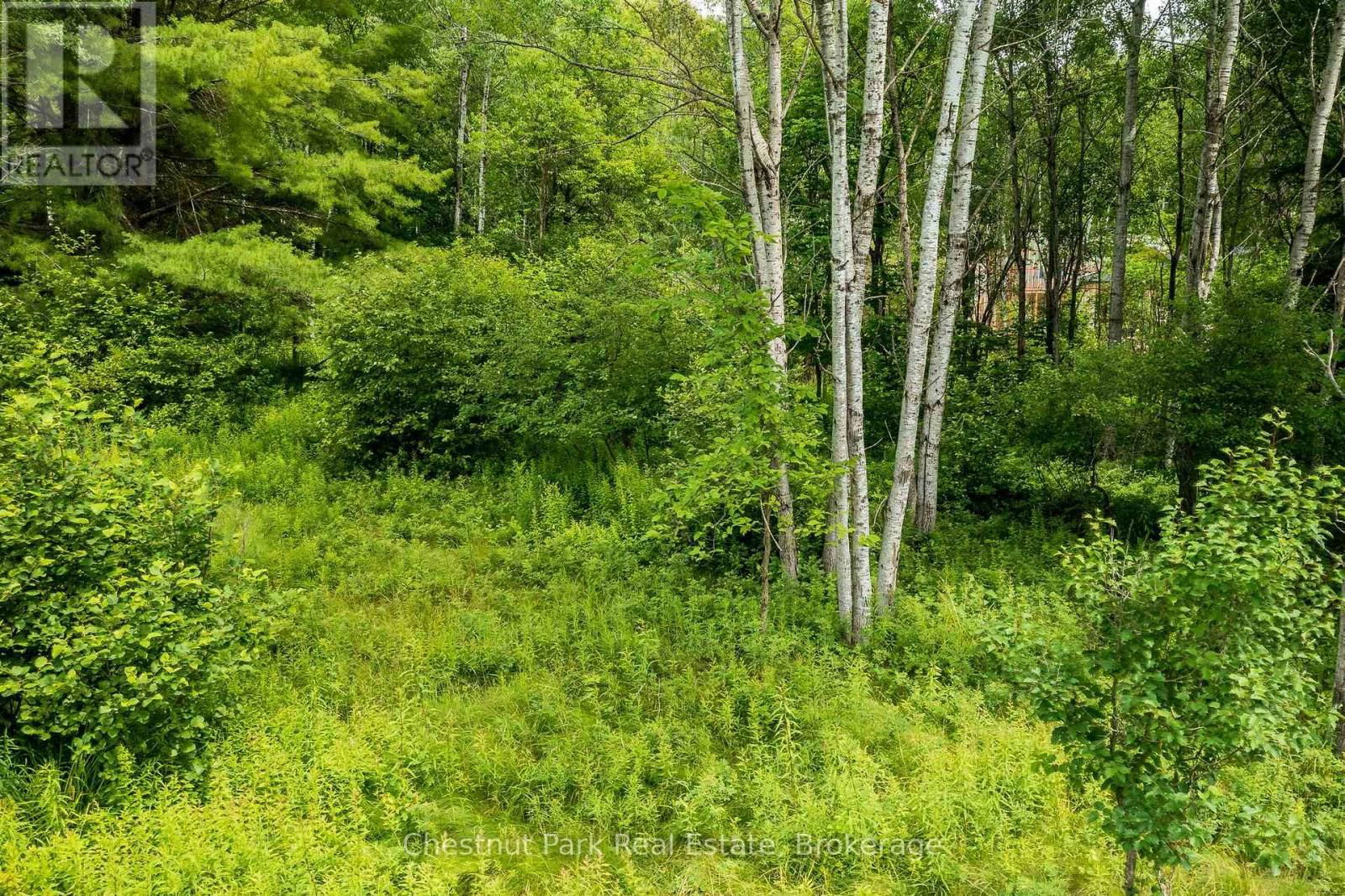 17 VERNON LANE Image 3