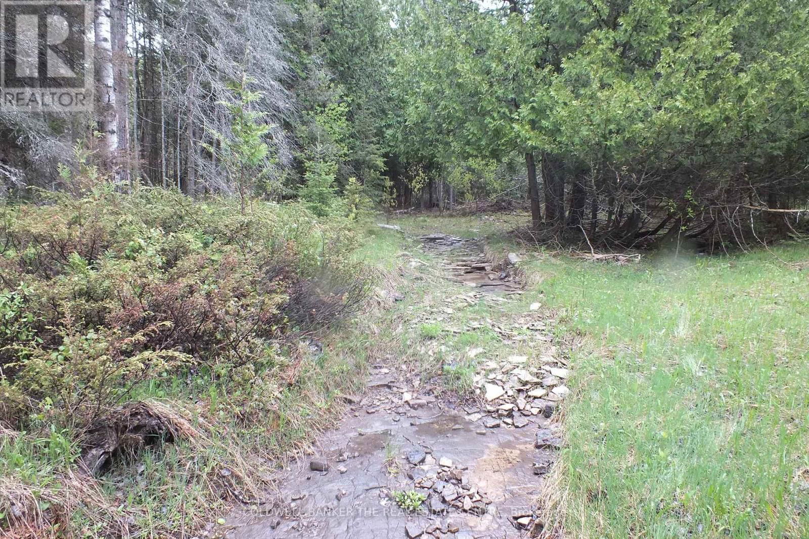 13476 HWY. 542 HIGHWAY Image 9