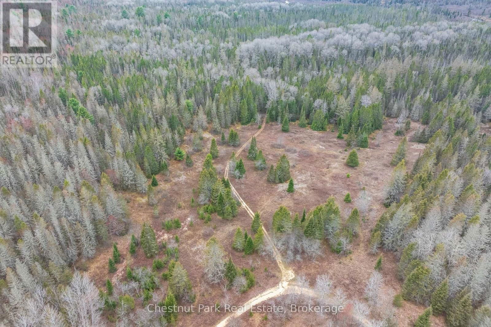 316 GOREVILLE ROAD Image 44