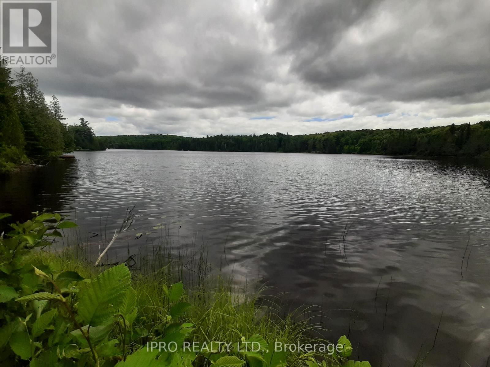 6491-B OPEONGO ROAD Image 1