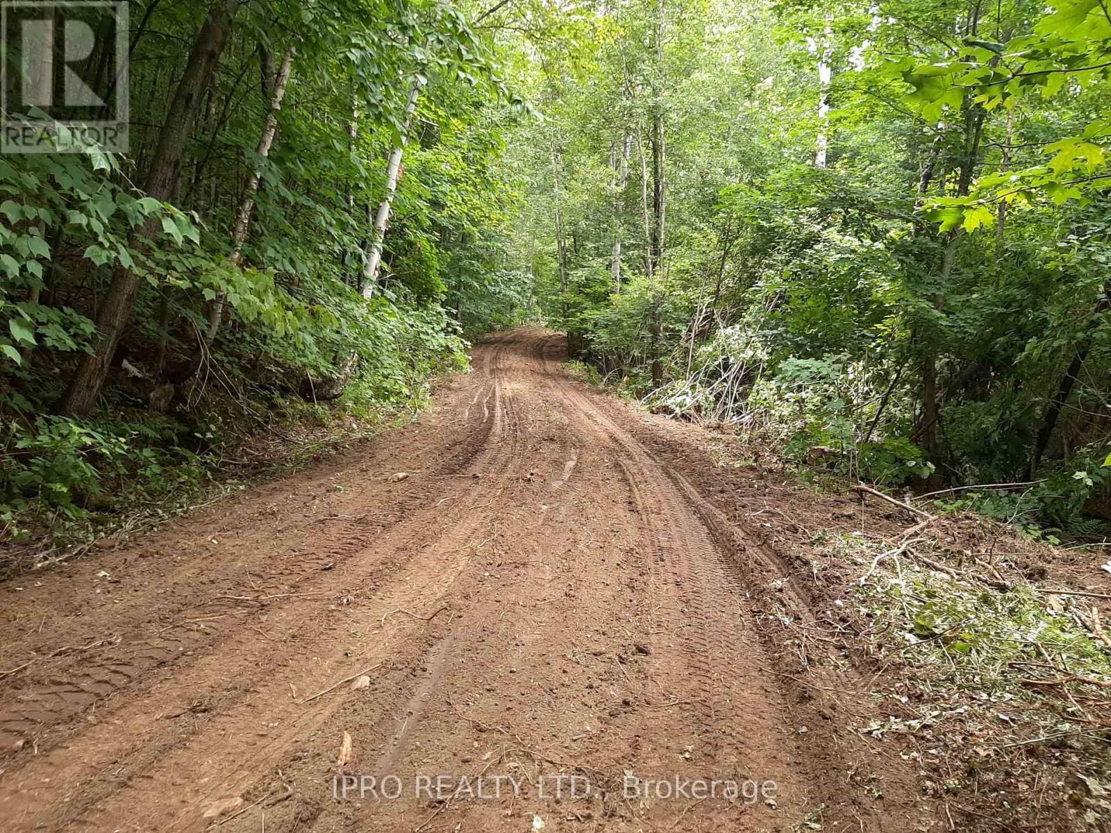 6491-B OPEONGO ROAD Image 11