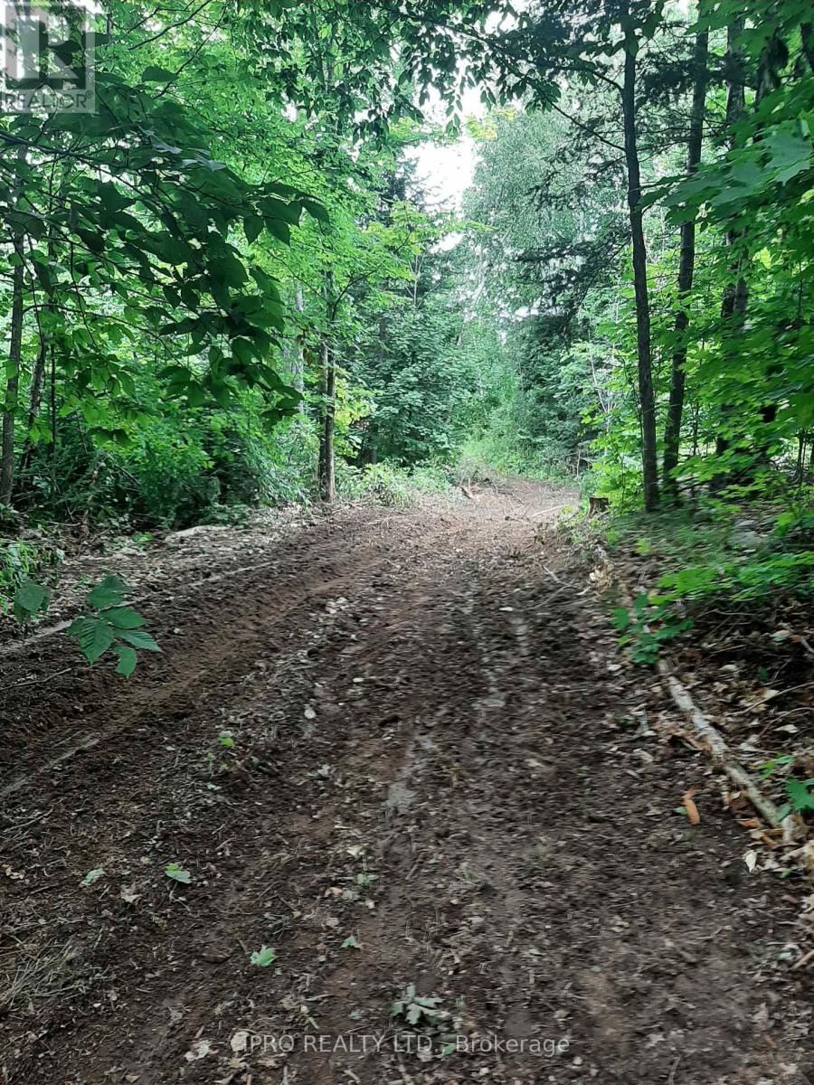 6491-B OPEONGO ROAD Image 12