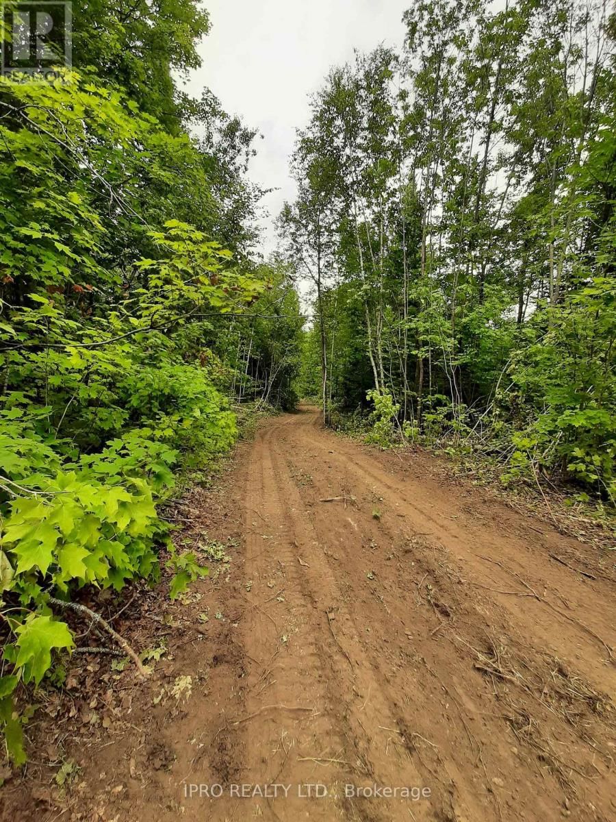 6491-B OPEONGO ROAD Image 13