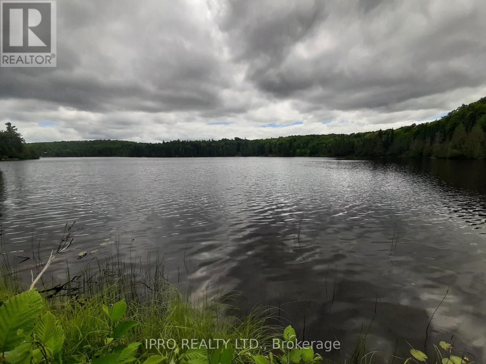 6491-B OPEONGO ROAD Image 3