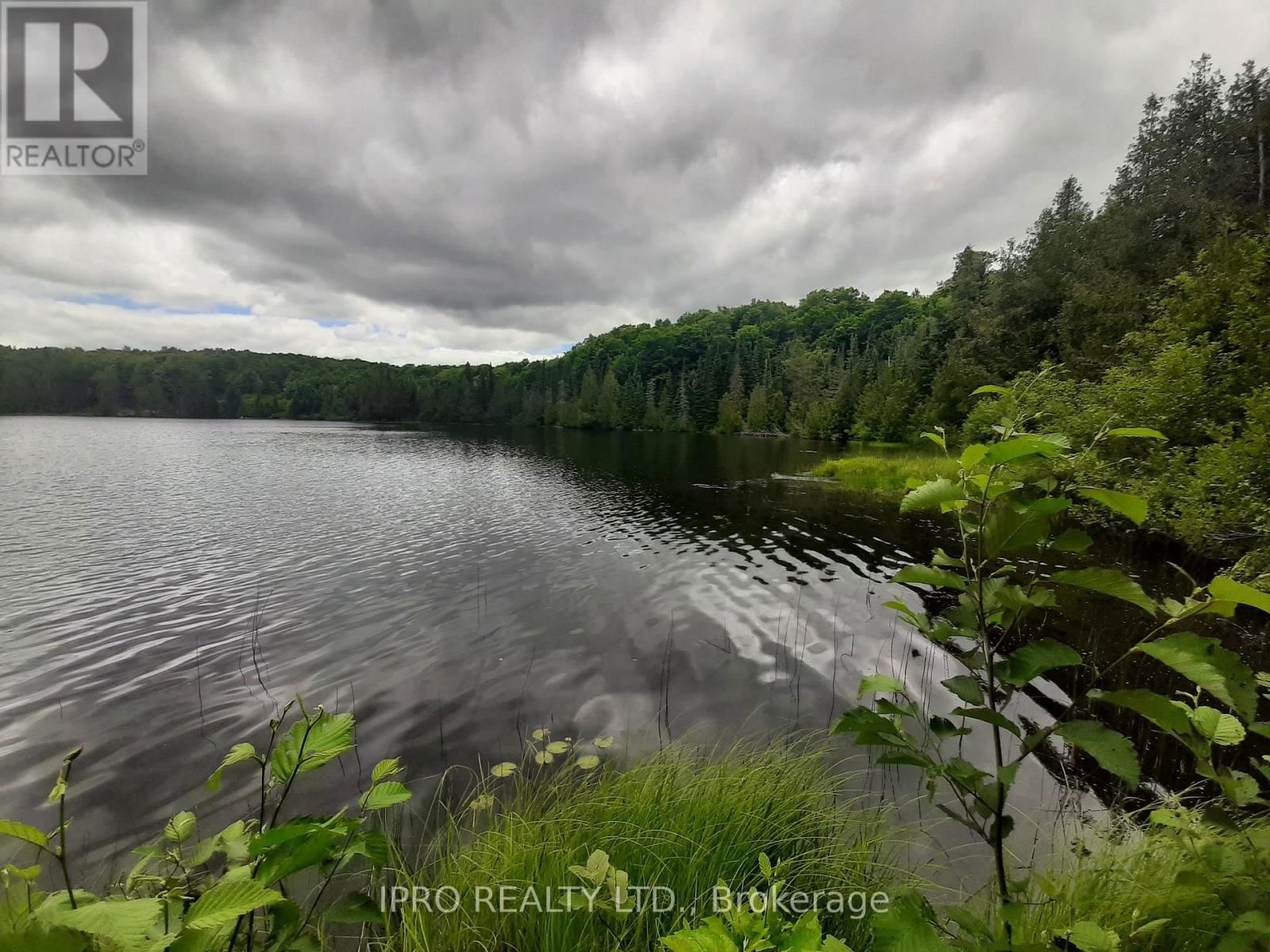 6491-B OPEONGO ROAD Image 4