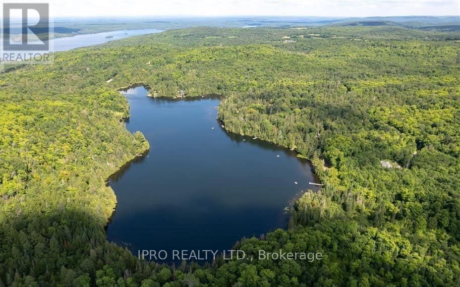 6491-B OPEONGO ROAD Image 5
