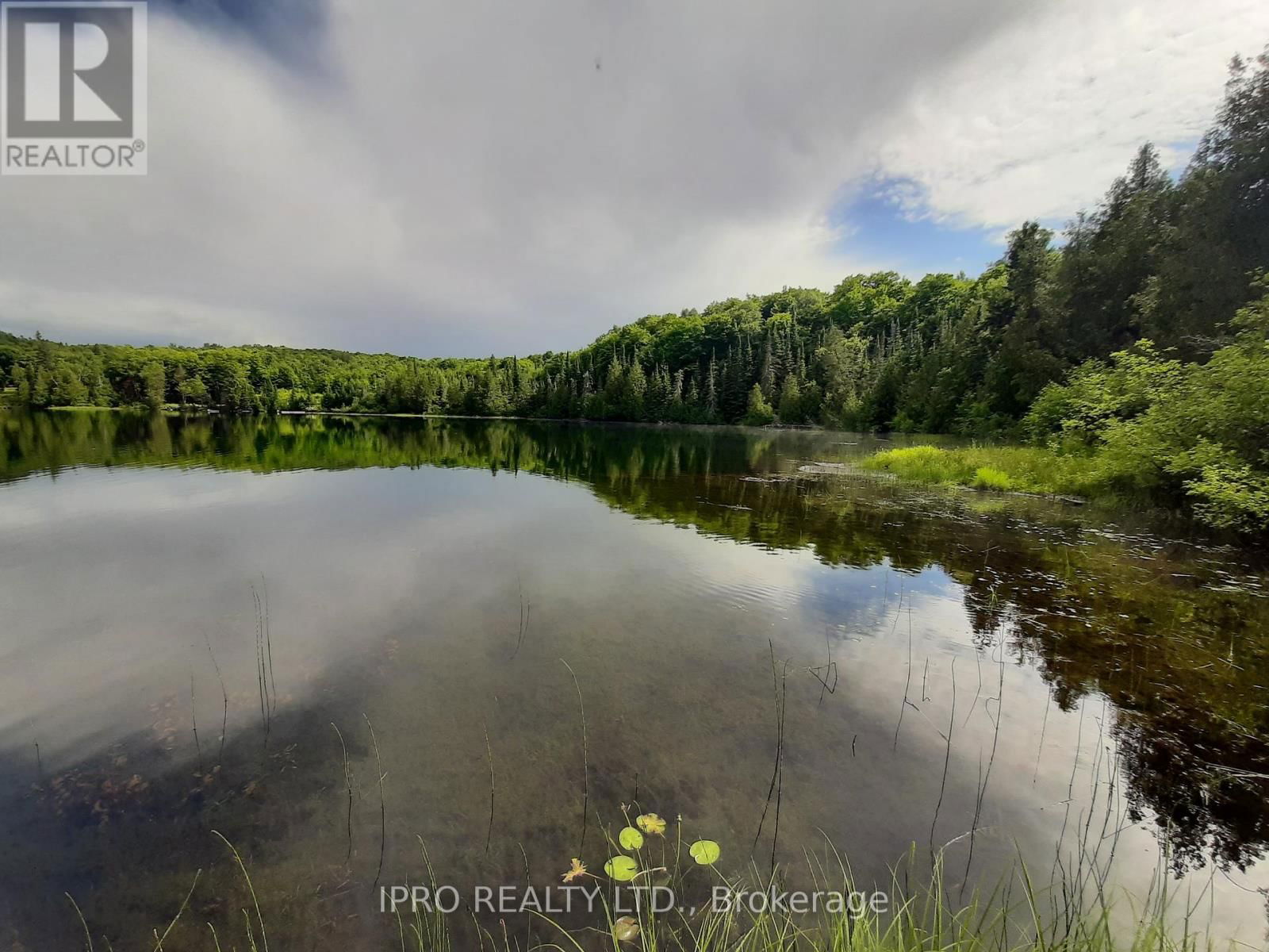 6491-B OPEONGO ROAD Image 6
