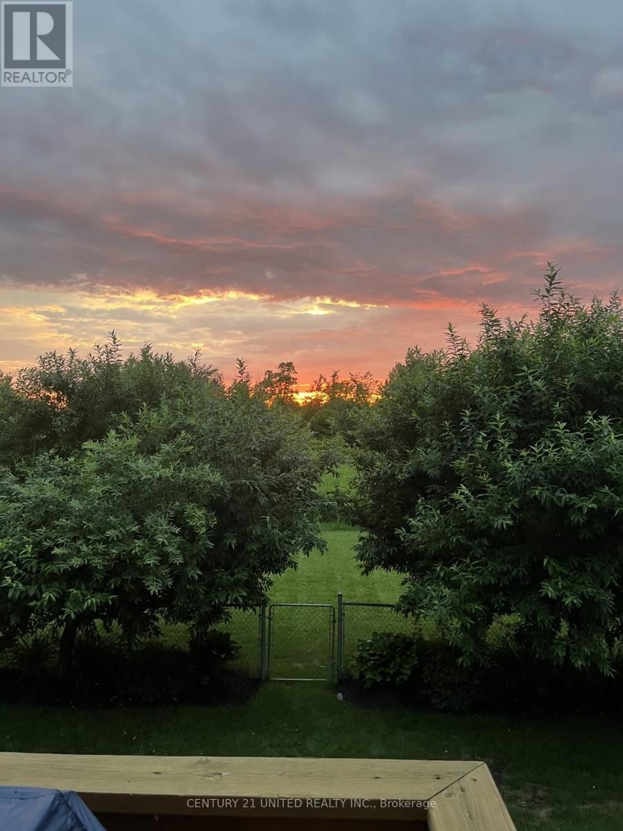 1403 IRELAND DRIVE Image 49