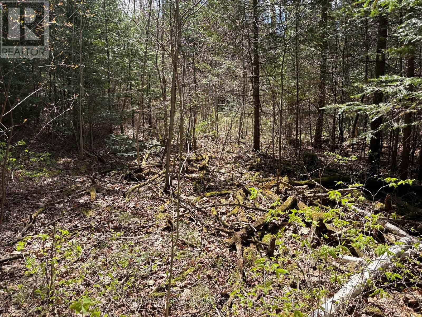 00 MONCK ROAD Image 1