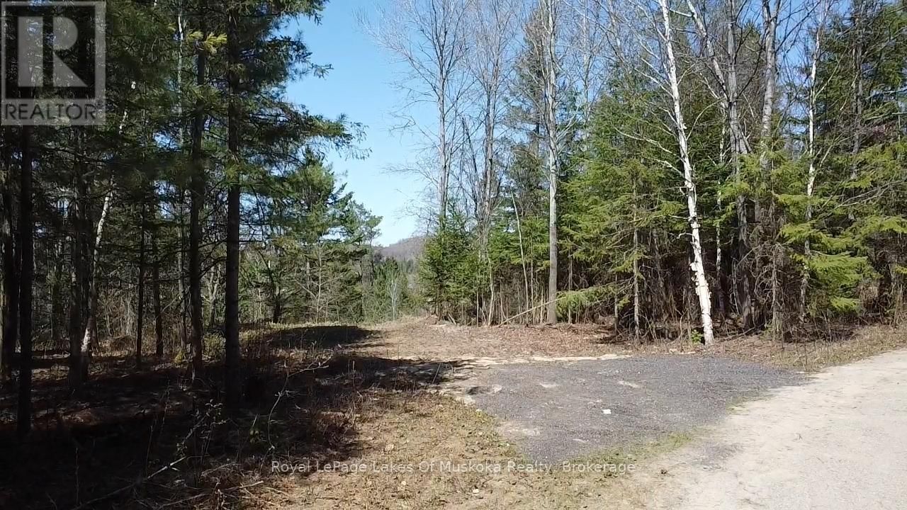 0 OLD MUSKOKA ROAD Image 11