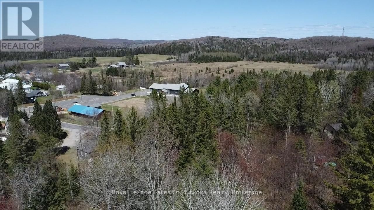 0 OLD MUSKOKA ROAD Image 12