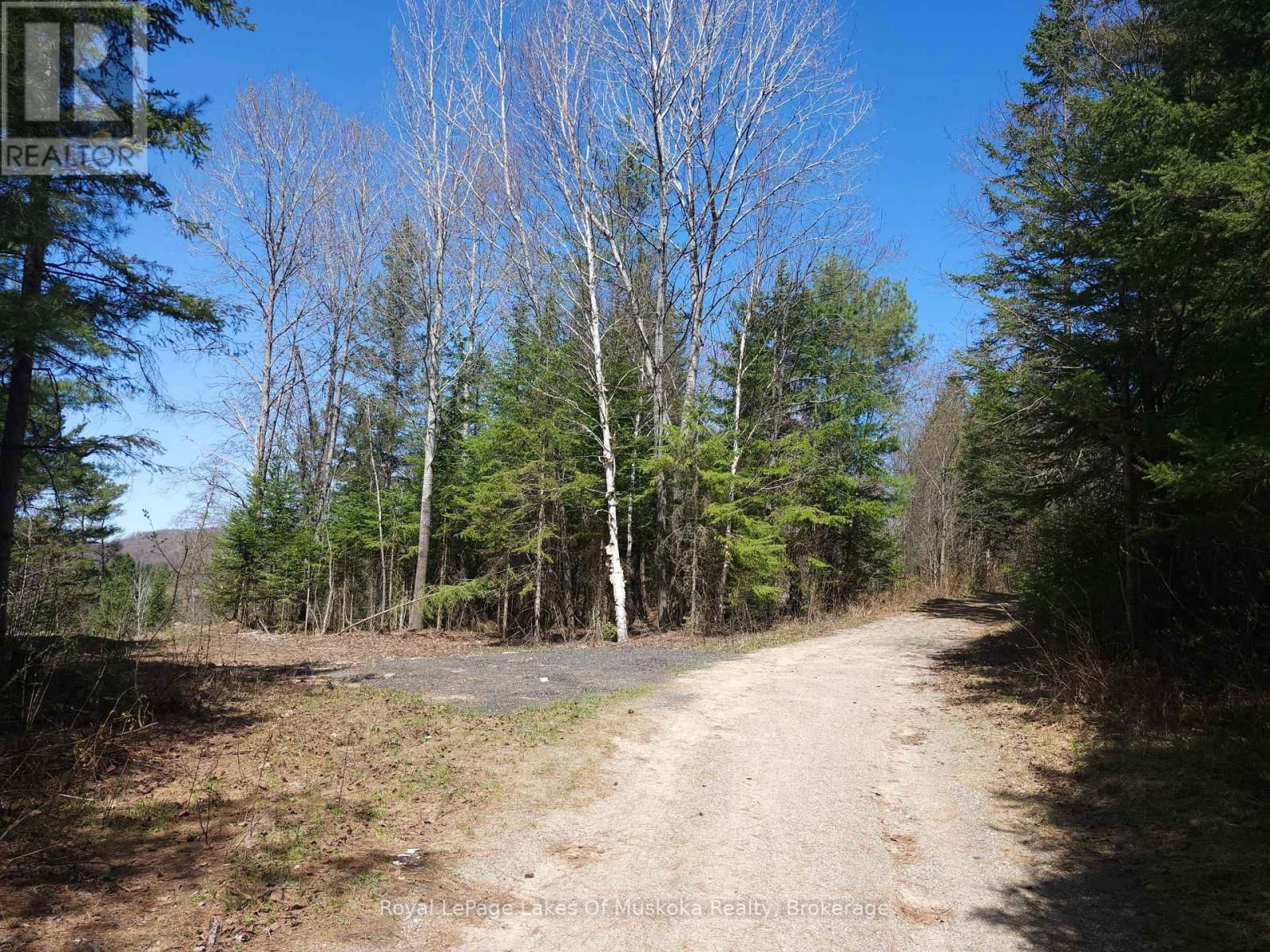 0 OLD MUSKOKA ROAD Image 3