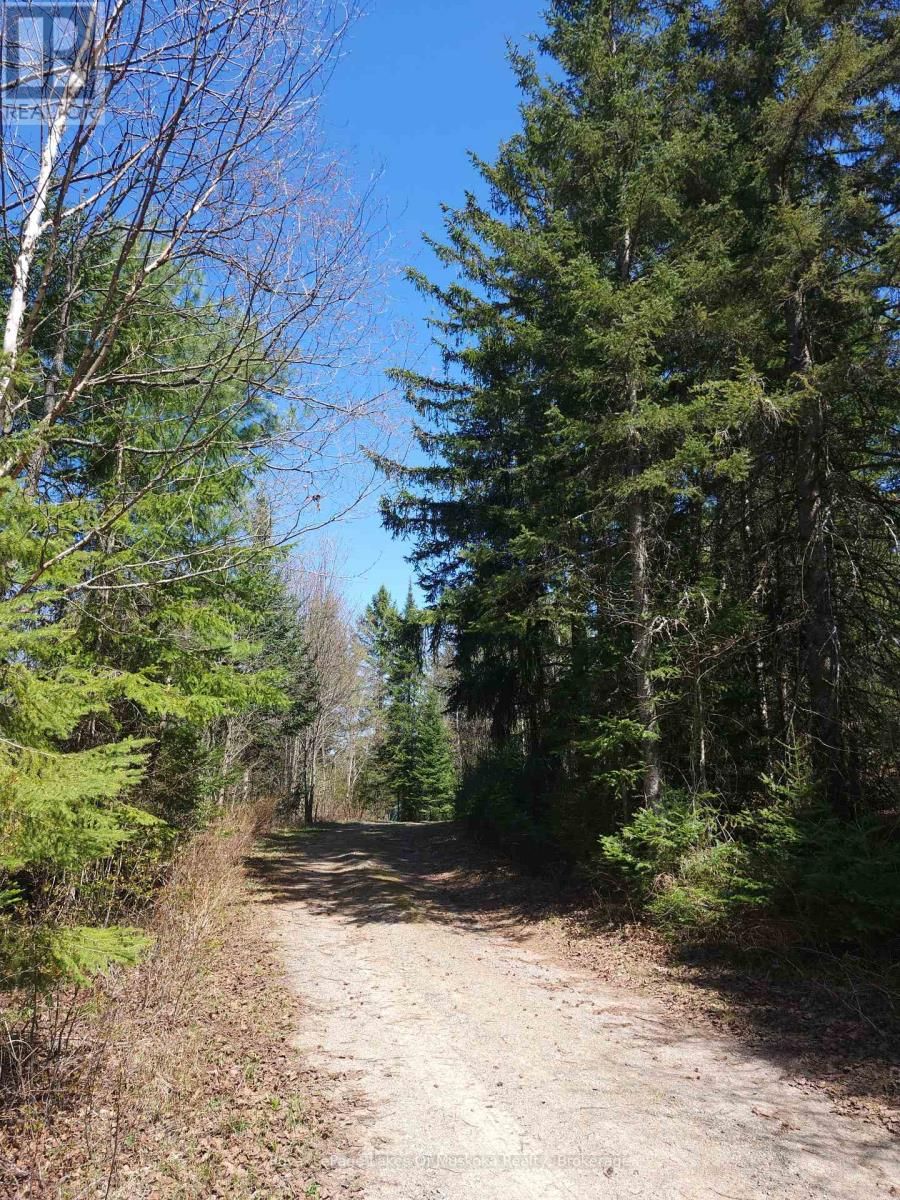 0 OLD MUSKOKA ROAD Image 4