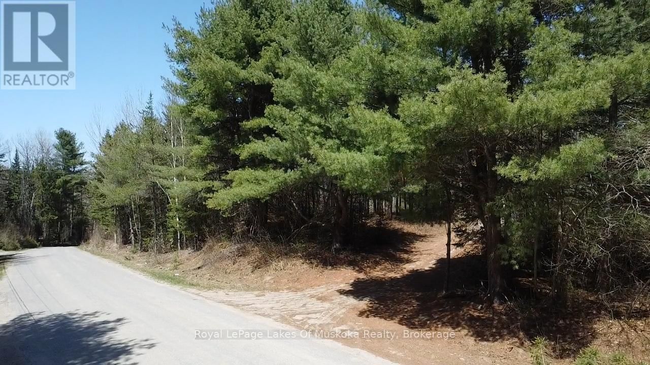 0 OLD MUSKOKA ROAD Image 8