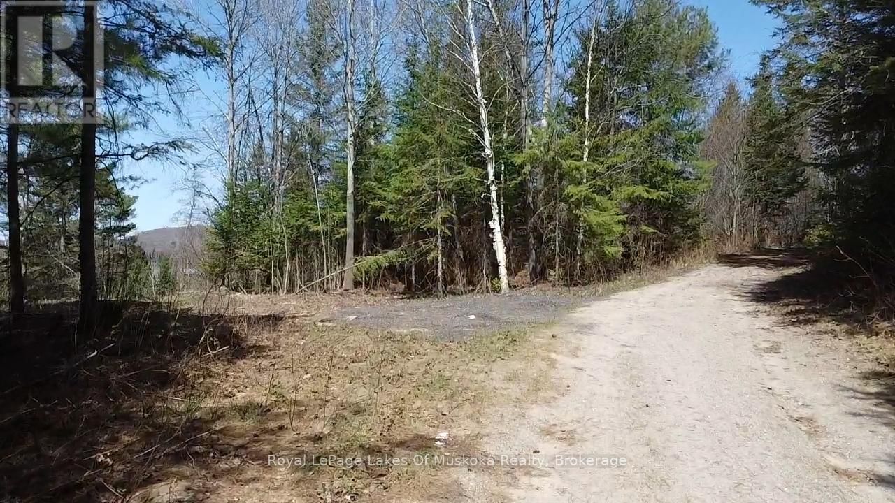 0 OLD MUSKOKA ROAD Image 9