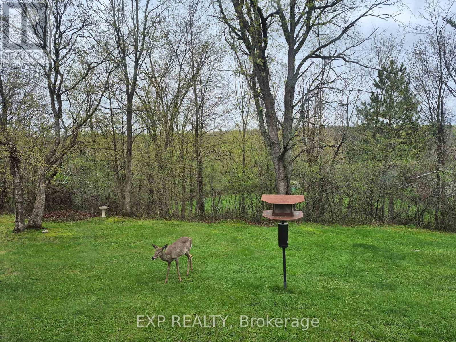 301 OPEONGO ROAD Image 31