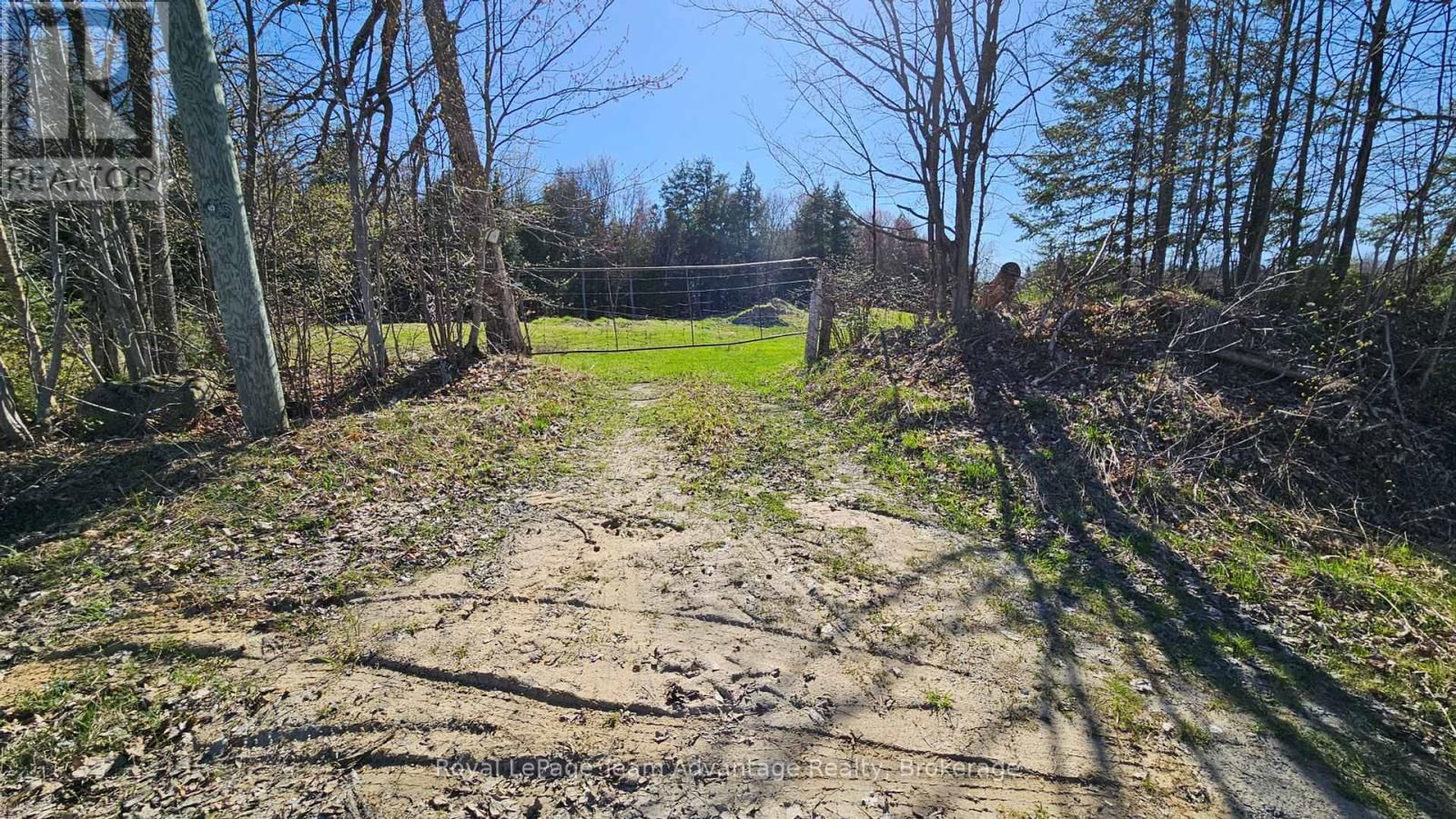 77 LAKESHORE ROAD Image 10