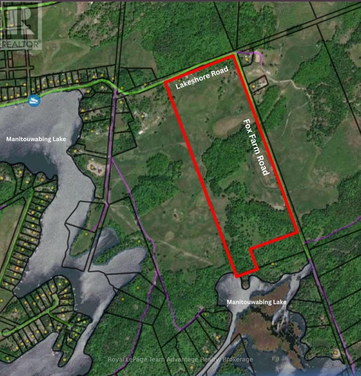77 LAKESHORE ROAD Image 2