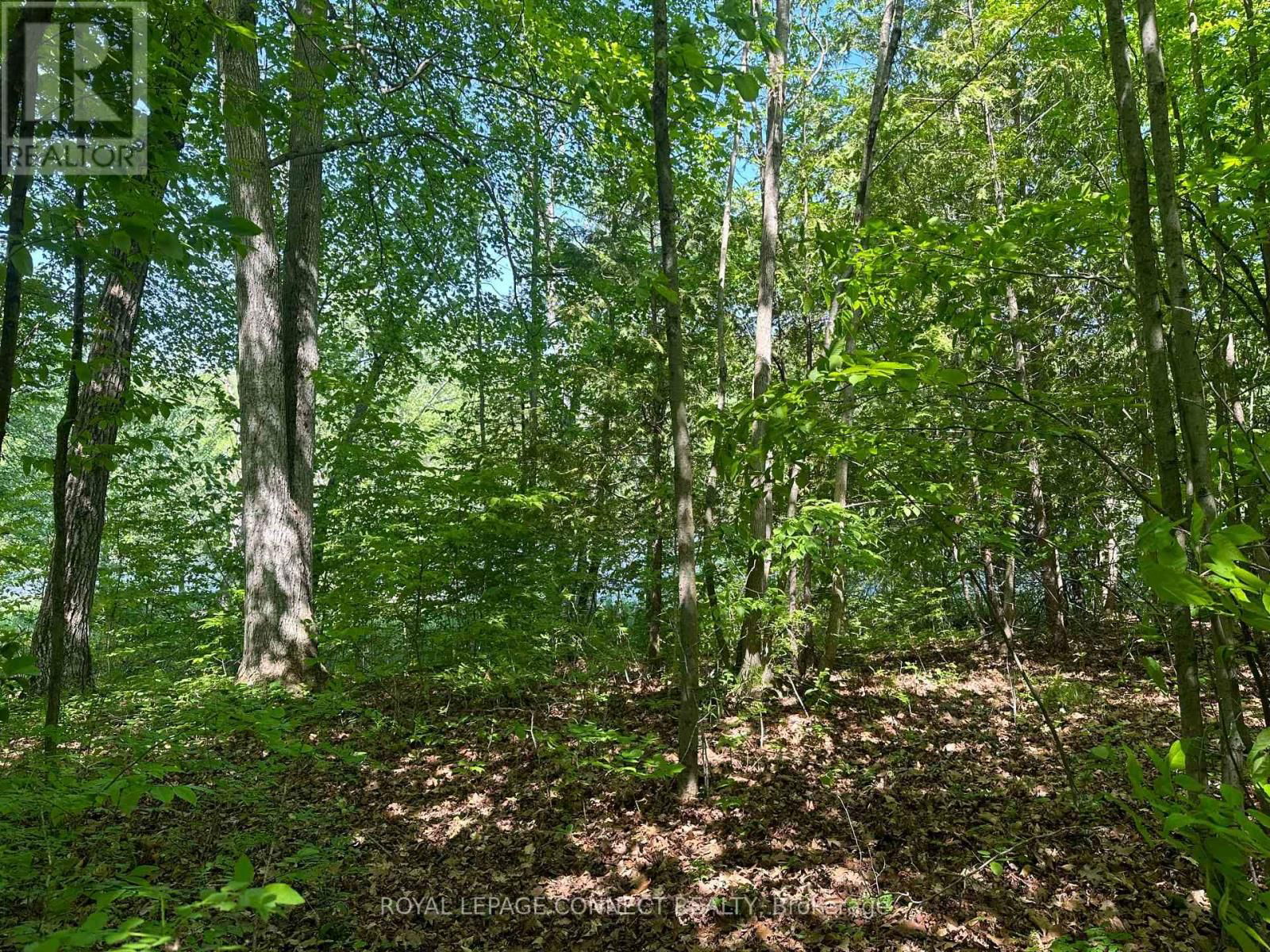 20 RIVERSIDE DRIVE Image 3