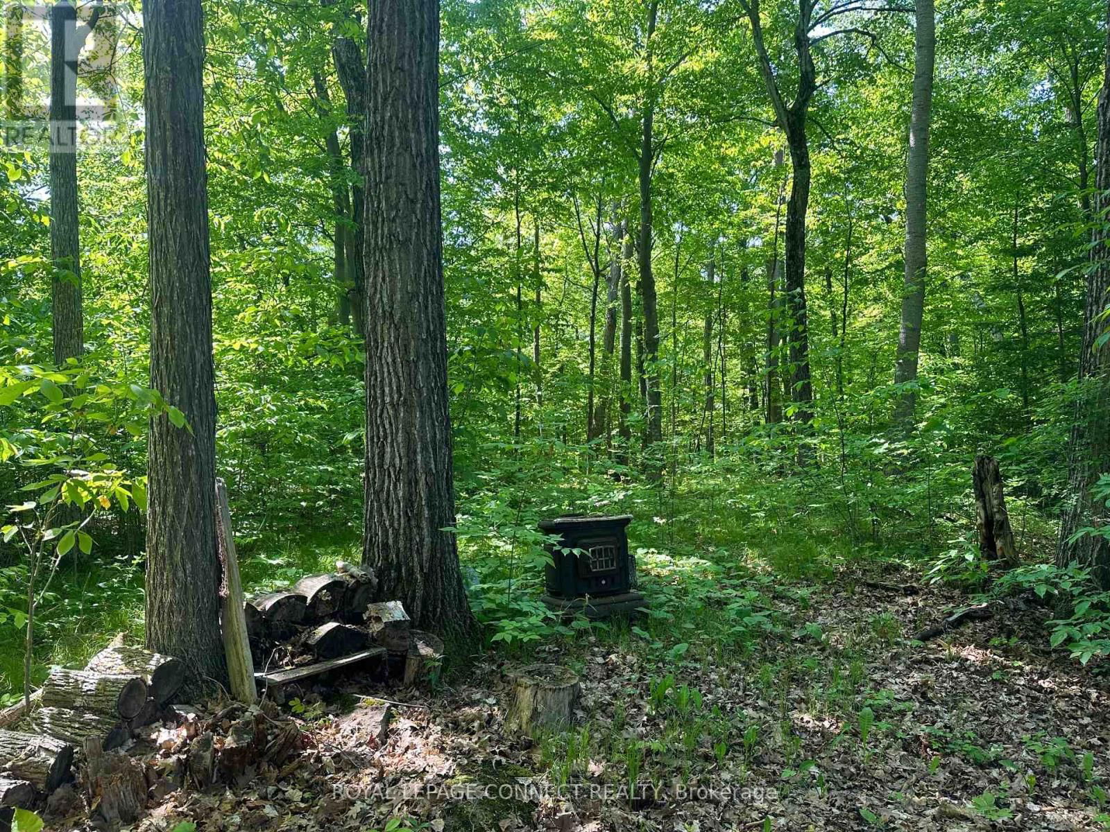20 RIVERSIDE DRIVE Image 4