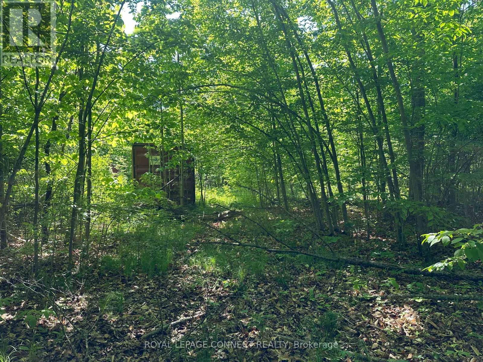20 RIVERSIDE DRIVE Image 7