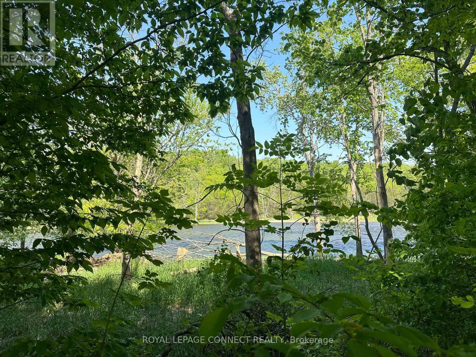 20 RIVERSIDE DRIVE Image 8