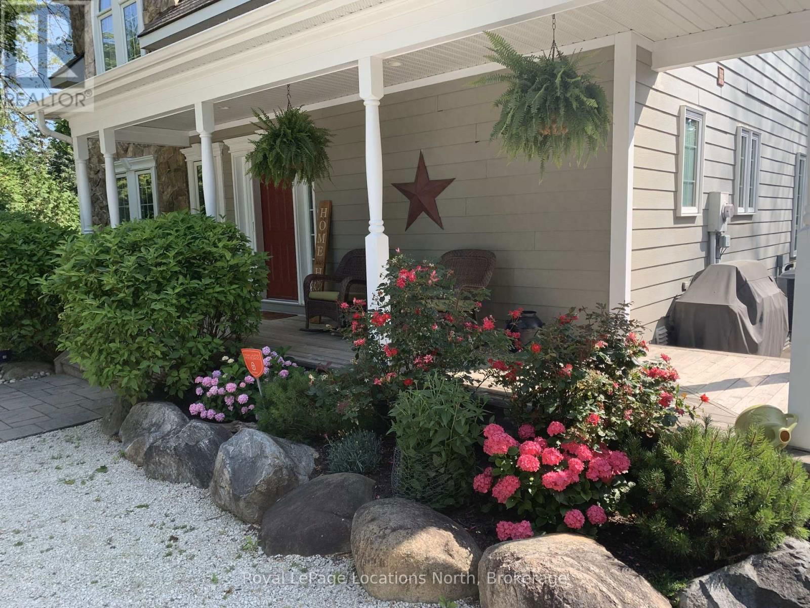 213 CAMPERDOWN ROAD Image 3