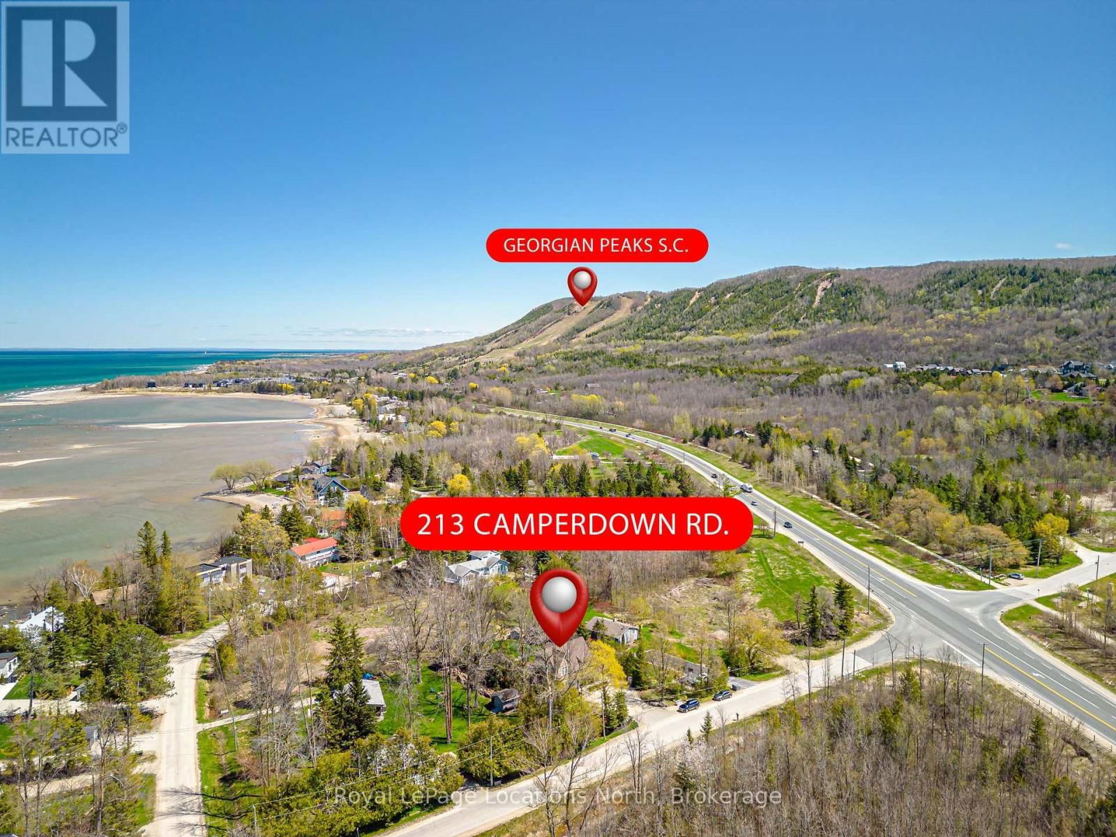 213 CAMPERDOWN ROAD Image 7