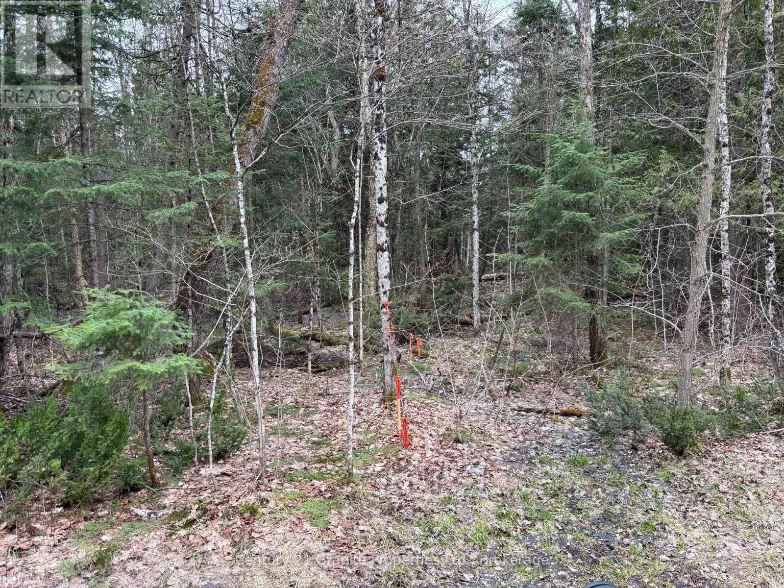 Lot 1 LOCH ERNE ROAD Image 2