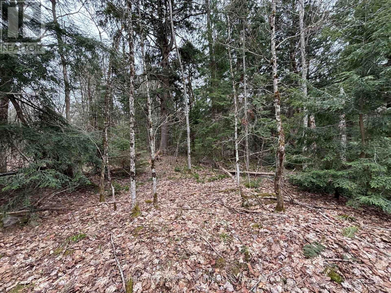 Lot 1 LOCH ERNE ROAD Image 3