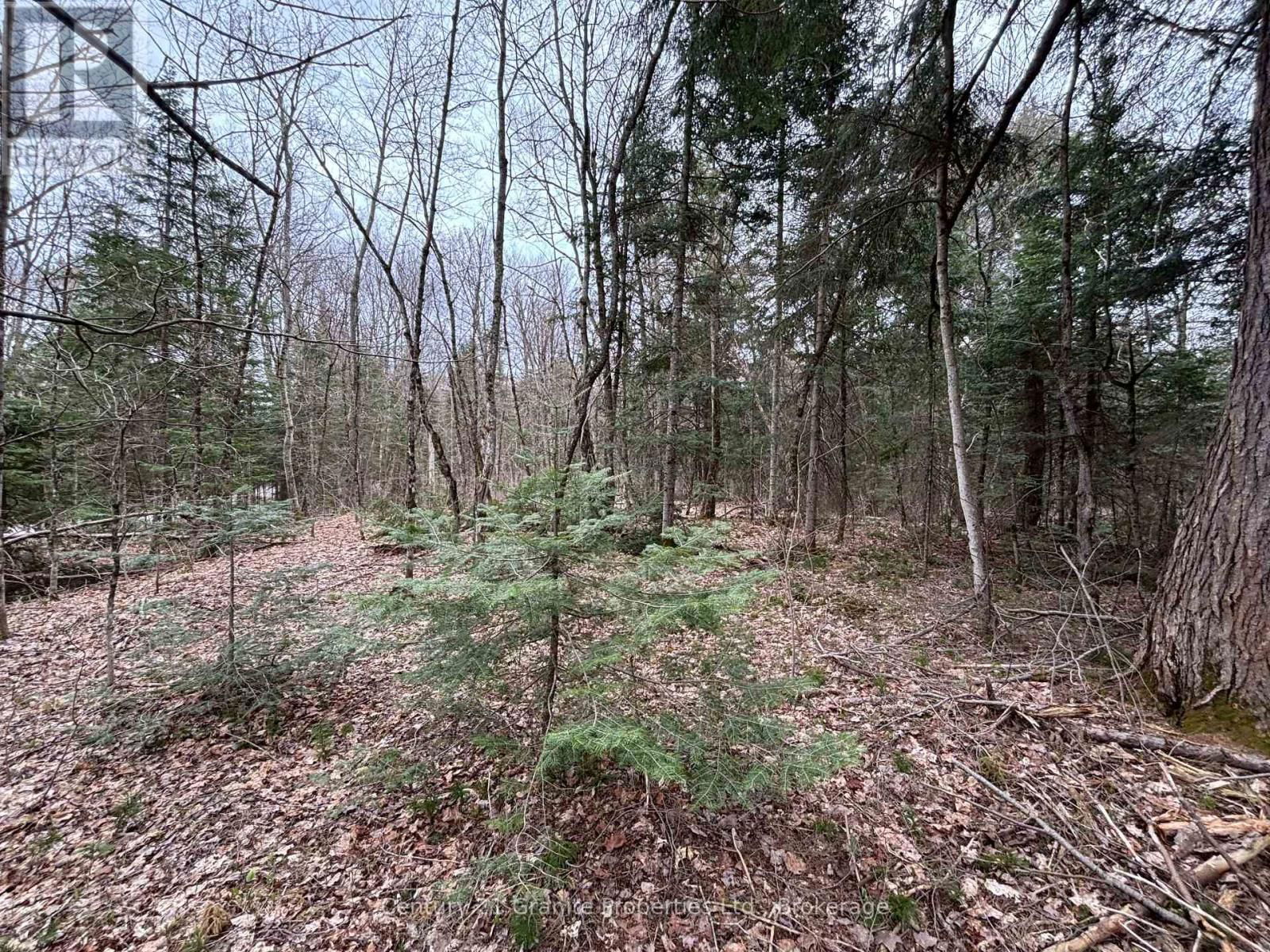 Lot 1 LOCH ERNE ROAD Image 4
