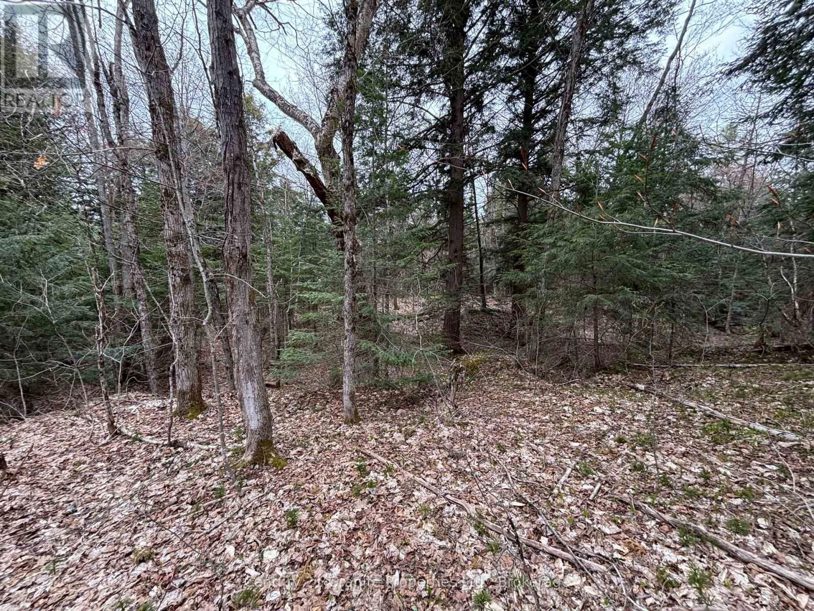 Lot 1 LOCH ERNE ROAD Image 5
