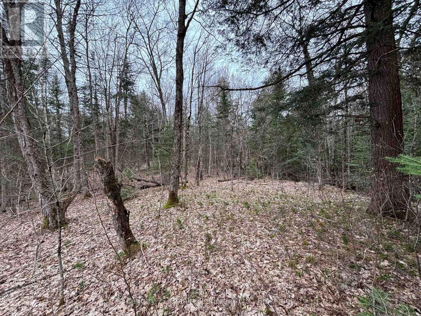Lot 1 LOCH ERNE ROAD Image 6