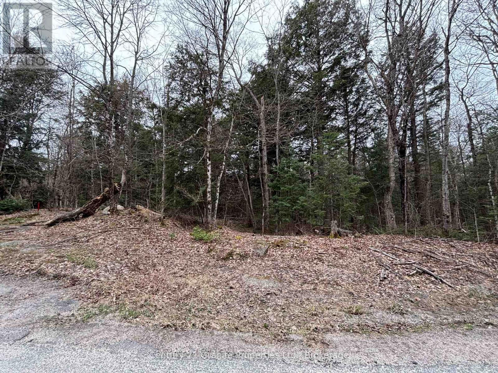 Lot 1 LOCH ERNE ROAD Image 7