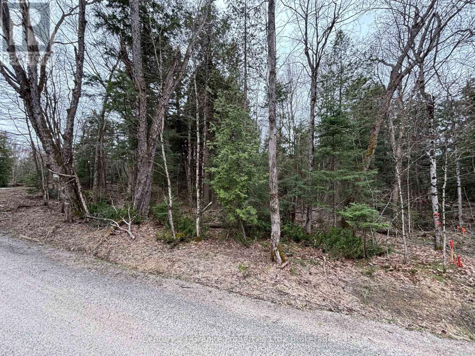 Lot 1 LOCH ERNE ROAD Image 9