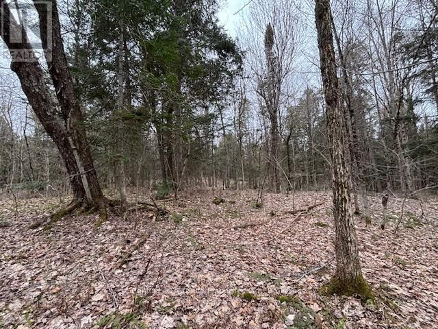 Lot 2 LOCH ERNE ROAD Image 2