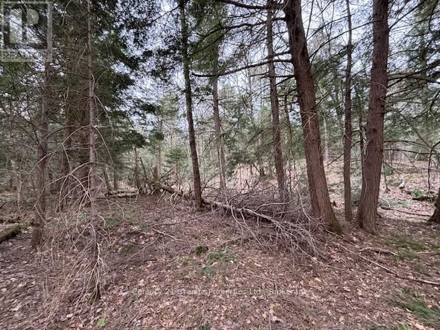 Lot 2 LOCH ERNE ROAD Image 5