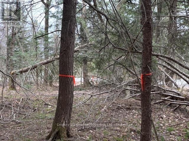 Lot 2 LOCH ERNE ROAD Image 6