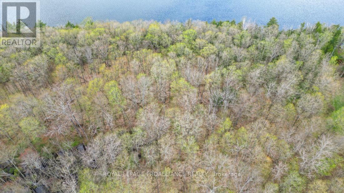 00 AUSTRIS ROAD Image 11